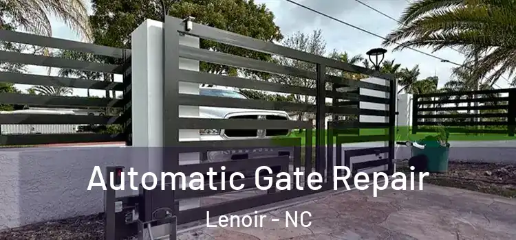 Automatic Gate Repair Lenoir - NC