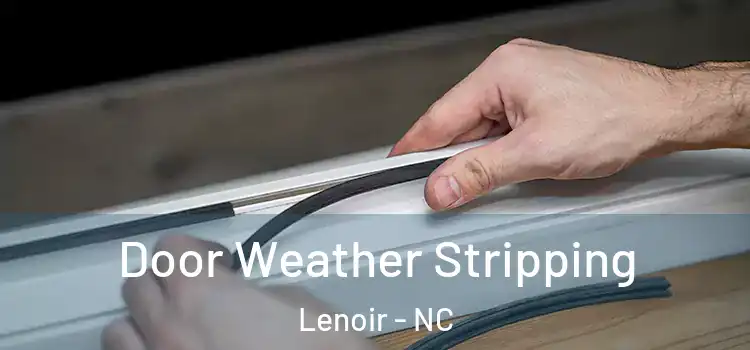 Door Weather Stripping Lenoir - NC