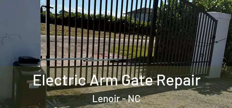 Electric Arm Gate Repair Lenoir - NC