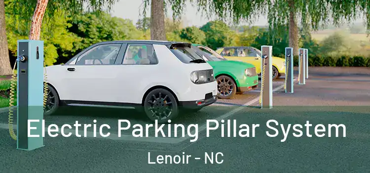 Electric Parking Pillar System Lenoir - NC