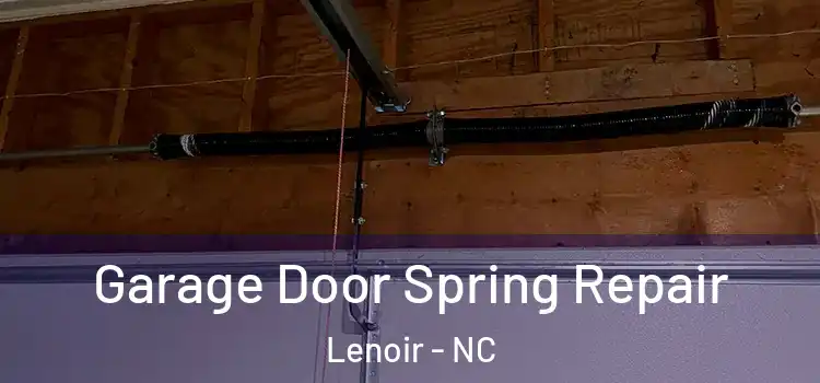  Garage Door Spring Repair Lenoir - NC
