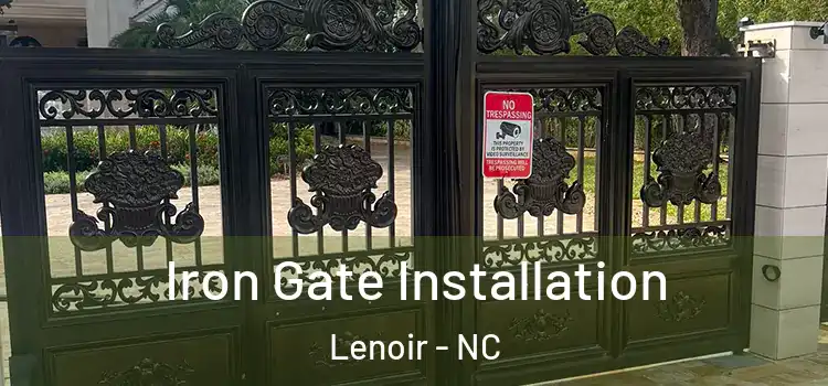 Iron Gate Installation Lenoir - NC