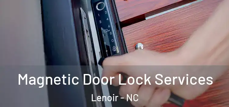 Magnetic Door Lock Services Lenoir - NC