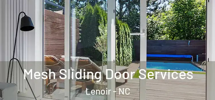 Mesh Sliding Door Services Lenoir - NC