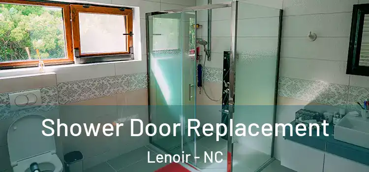 Shower Door Replacement Lenoir - NC